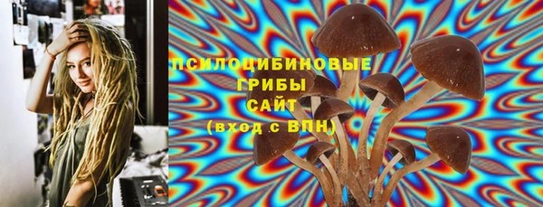 гидропоника Алзамай