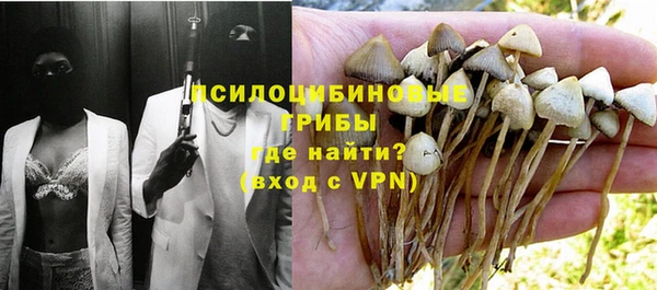 гидропоника Алзамай