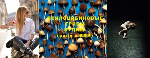 гидропоника Алзамай