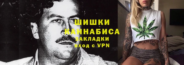 гидропоника Алзамай