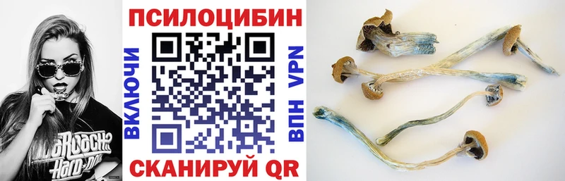 Псилоцибиновые грибы мухоморы  Шахты 